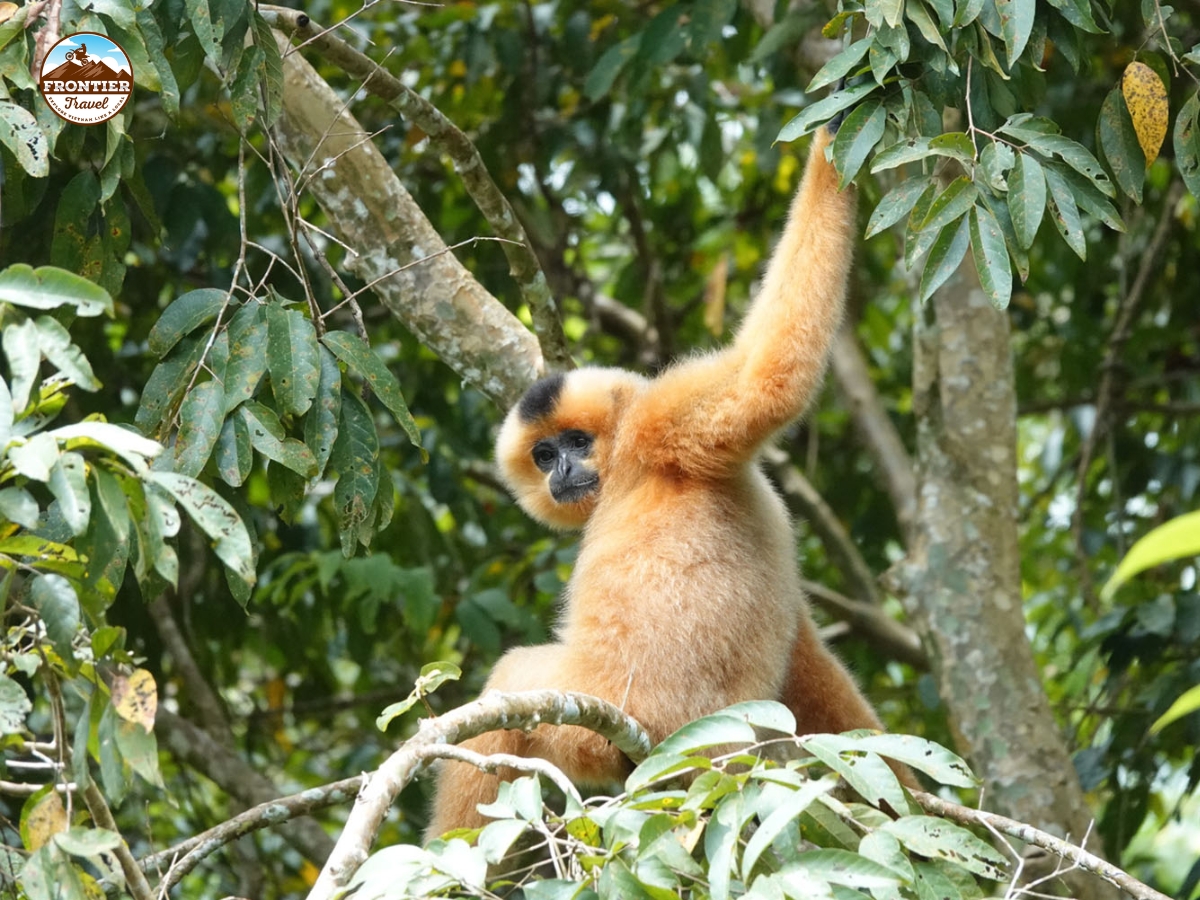 Motorbike journey to Cat Tien National Park